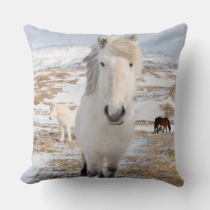Coussin Cheval Blanc Islandais, Islande