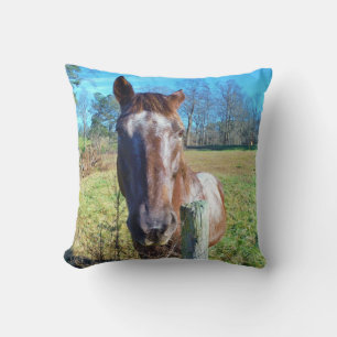 Coussin cheval Brown et blanc