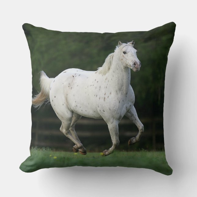 Coussin Cheval d'Appaloosa courant 1 (Recto)