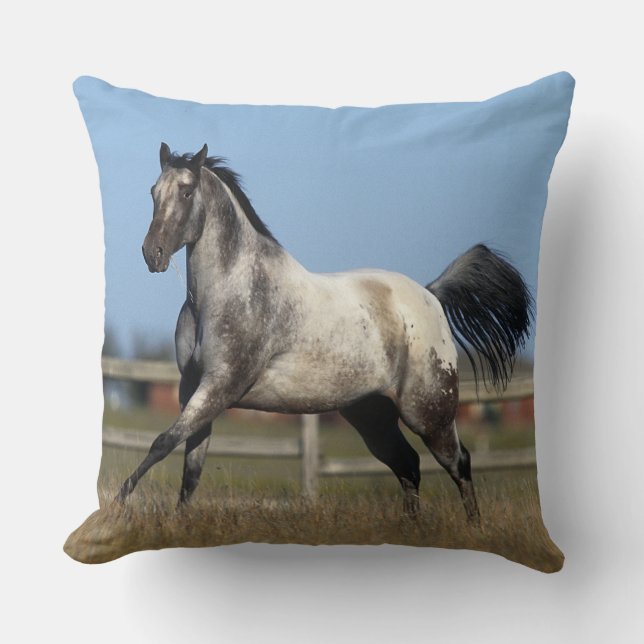 Coussin Cheval d'Appaloosa courant 3 (Recto)