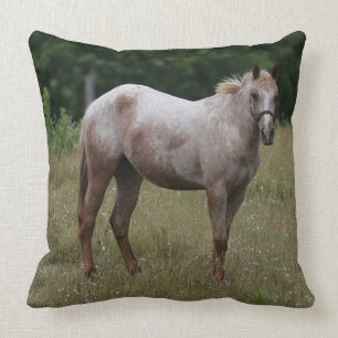 Coussin Cheval d'Appaloosa se tenant dans l'herbe