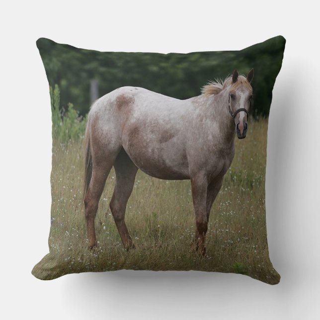 Coussin Cheval d'Appaloosa se tenant dans l'herbe (Recto)