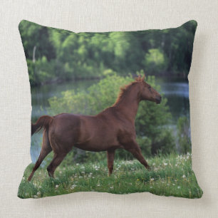 Coussin Cheval de pur sang se tenant en fleurs
