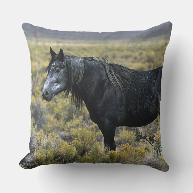 Coussin Cheval sauvage de mustang dans le désert (Recto)