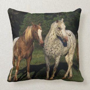 Coussin Chevaux d'Appaloosa