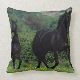 Coussin Chevaux de pur sang dans le domaine de fleur