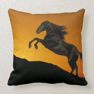 Coussin Chevaux d'imaginaire : Coucher du soleil de