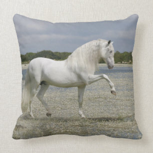 Coussin Chevaux d'imaginaire : Seigneur du lac