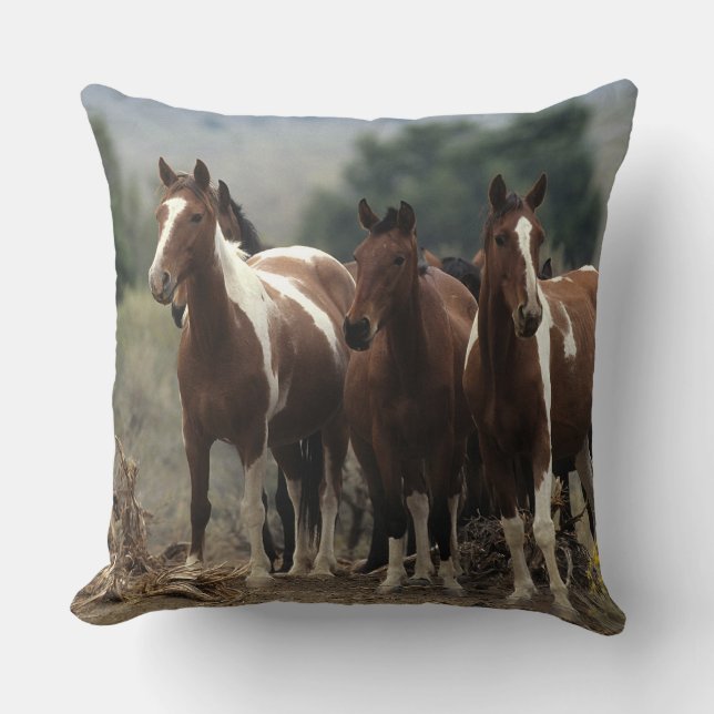 Coussin Chevaux sauvages 7 de mustang (Recto)