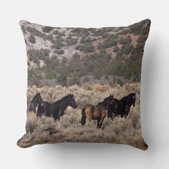 Coussin Chevaux sauvages de mustang dans le désert 2 (Recto)