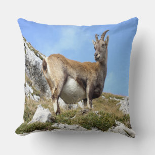 Coussin Chèvre de montagne