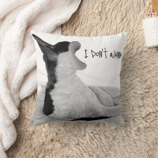 Coussin Chewy sez... Je ne veux pas.