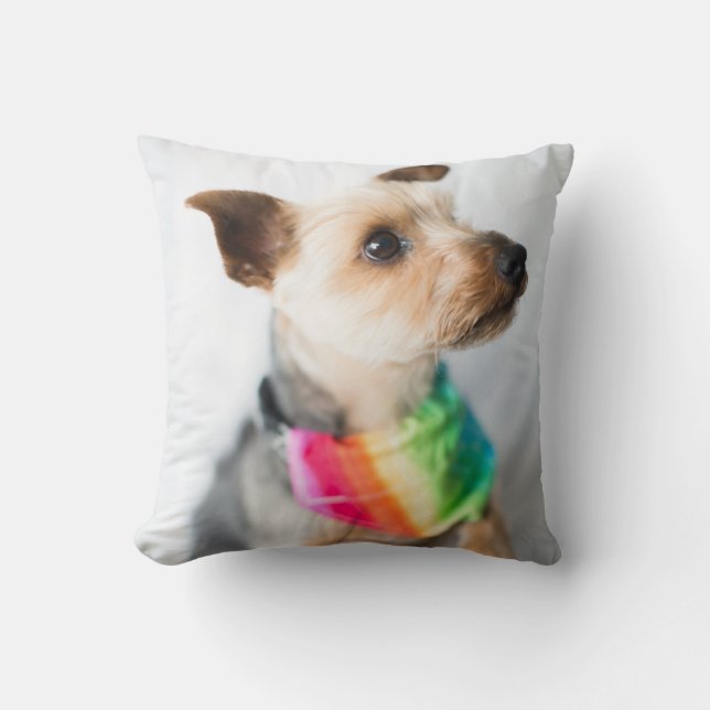 Coussin Chien arc-en-ciel Gay pride| Yorkshire Terrier (Recto)