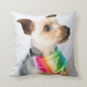 Coussin Chien arc-en-ciel Gay pride  Yorkshire Terrier