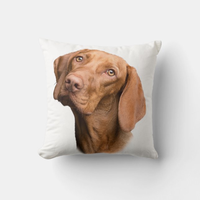 Coussin Chien Brown pointeur germanique (Recto)