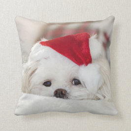 Coussin Chien de chiot maltais blanc et farci dans un chap