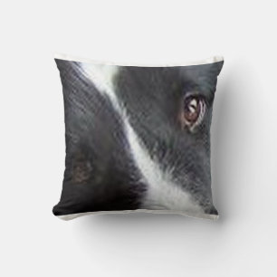 Coussin chien de mouton shetland yeux noirs et blancs