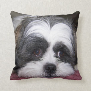 Coussin Chien de Shih Tzu