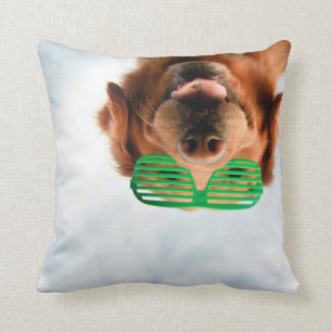 Coussin Chien des images   de Getty avec des verres
