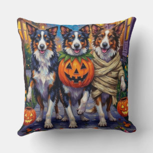 Coussin Chiens Border Collie faisant Trick-or-Treating à H