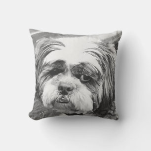 COUSSIN CHIH TZU DOG