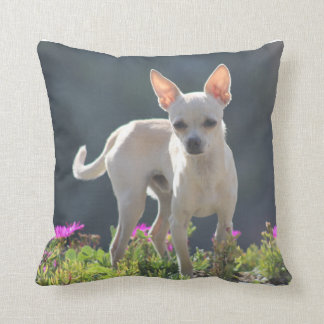 Coussin Chihuahuha mignon dans le lit de fleur