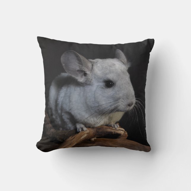 Coussin Chinchilla (Recto)