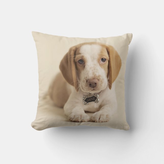 Coussin Chiot de beagle (Recto)
