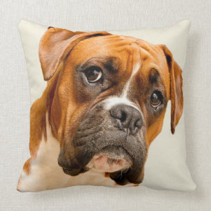 Coussin Chiot de boxeur sur le contexte crème en ivoire