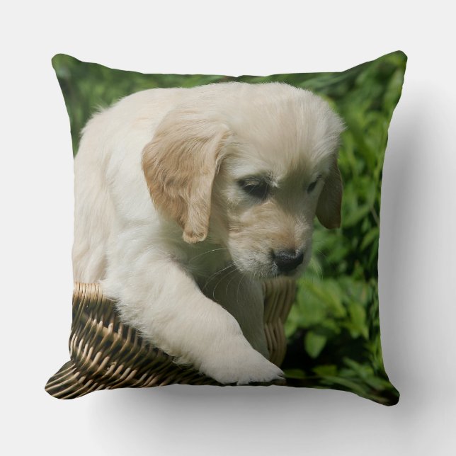Coussin Chiot de golden retriever dans le panier (Recto)
