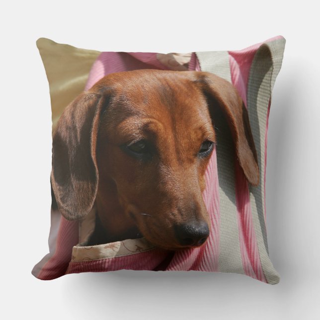 Coussin chiot miniature Lisse-haired de teckel (Recto)