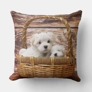 Coussin Chiots Blancs Dans Un Panier