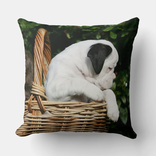 Coussin Chiots de boxeur dans le panier (Recto)