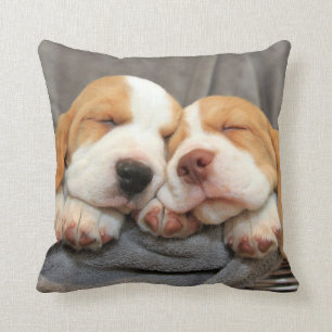 Coussin Chiots somnolents
