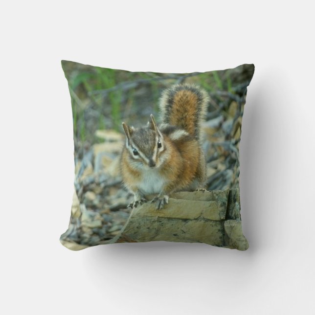 Coussin Chipmunk dans le parc national des Glaciers (Recto)