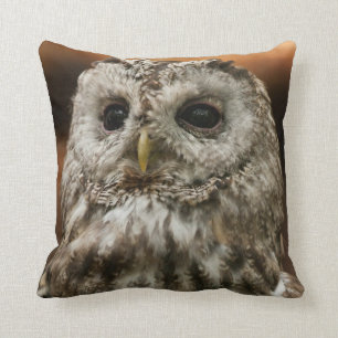 Coussin Chouette de Twany