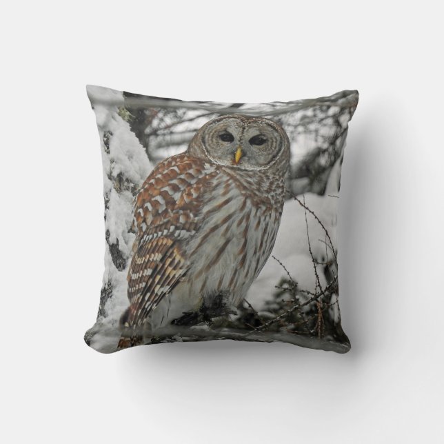 Coussin Chouette rayée (Recto)