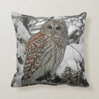 Coussin Chouette rayée