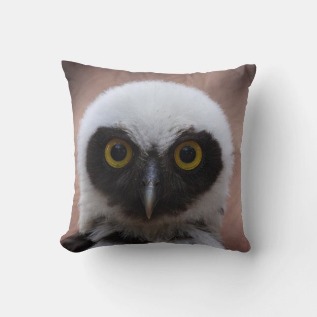 Coussin Chouette spectaculaire (Recto)