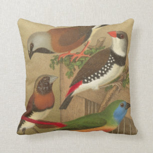 Coussin Cinq oiseaux colorés d'animal familier étés per