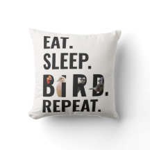 Citation d'oiseaux amusant Typographie moderne