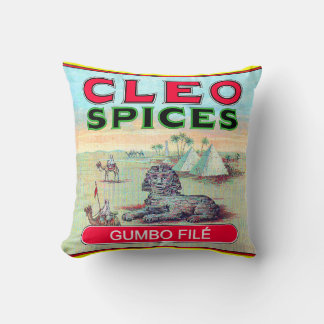 Coussin Cleo Spices