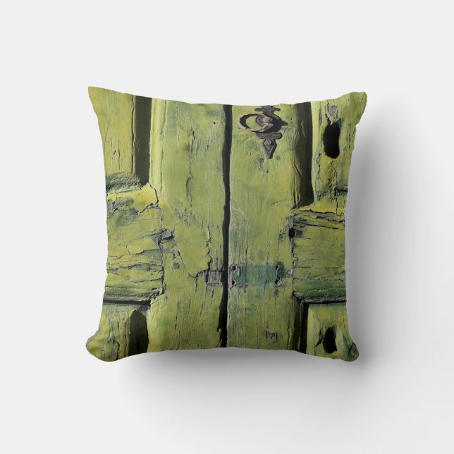 Coussin Closed brown wooden 2-panel door (Recto)