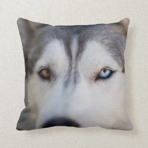 Coussin Closeup Stoic Gazaouit