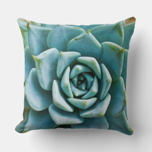 Coussin Closeup Succulent