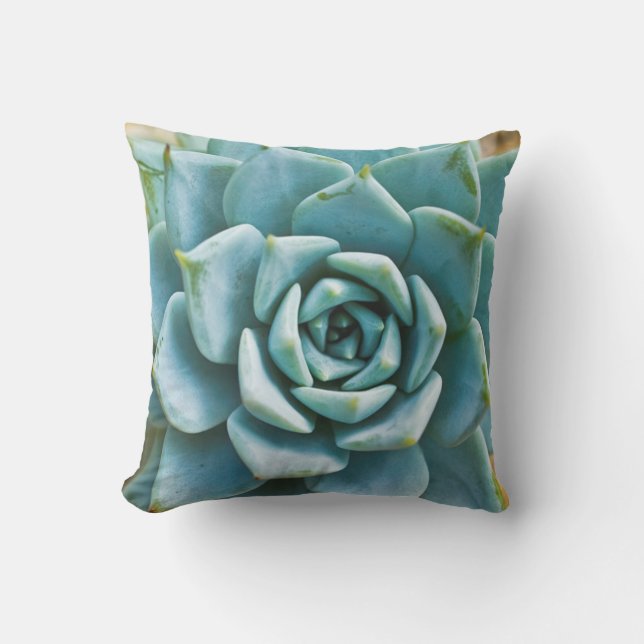 Coussin Closeup Succulent (Recto)