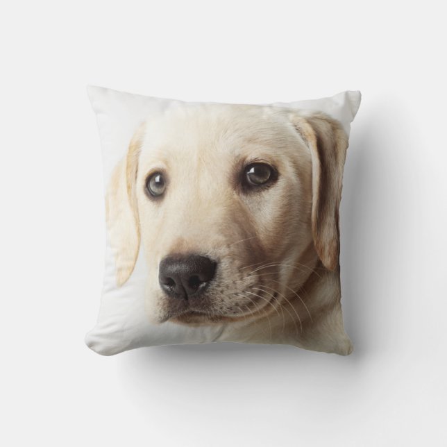 Coussin Closeuse de la coqueliche du Labrador (Recto)