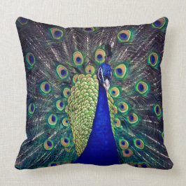 Coussin Cobalt Blue Peacock