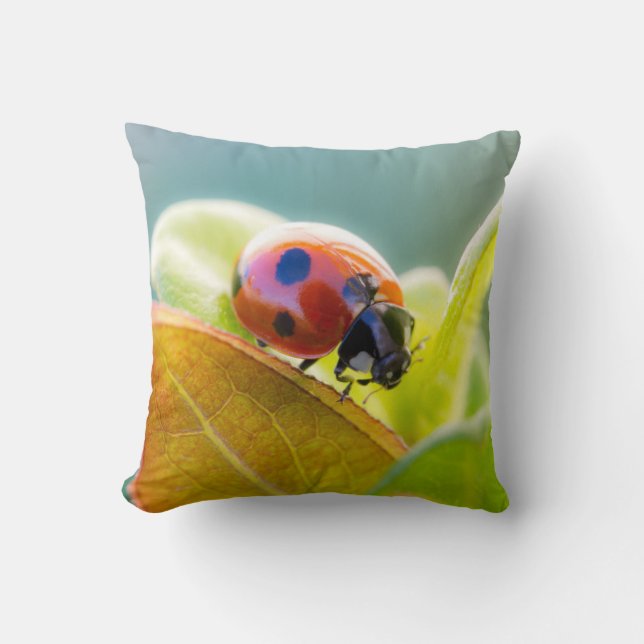 Coussin Coccinelle sur une feuille (Recto)