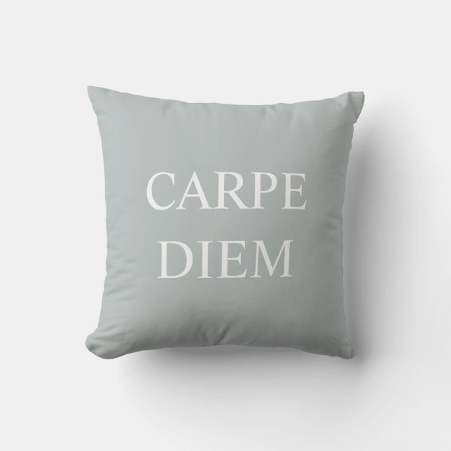 Coussin Coche de citation latine Carpe Diem - gris (Recto)